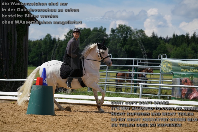 s_K3F04741.JPG